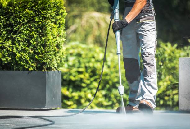 Best Gutter Cleaning  in Cedarburg, WI