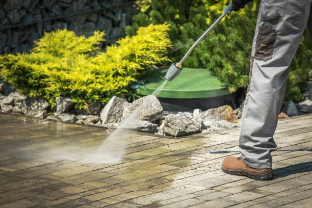 Best Solar Panel Cleaning  in Cedarburg, WI