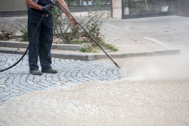 Animal Enclosure Cleaning in Cedarburg, WI